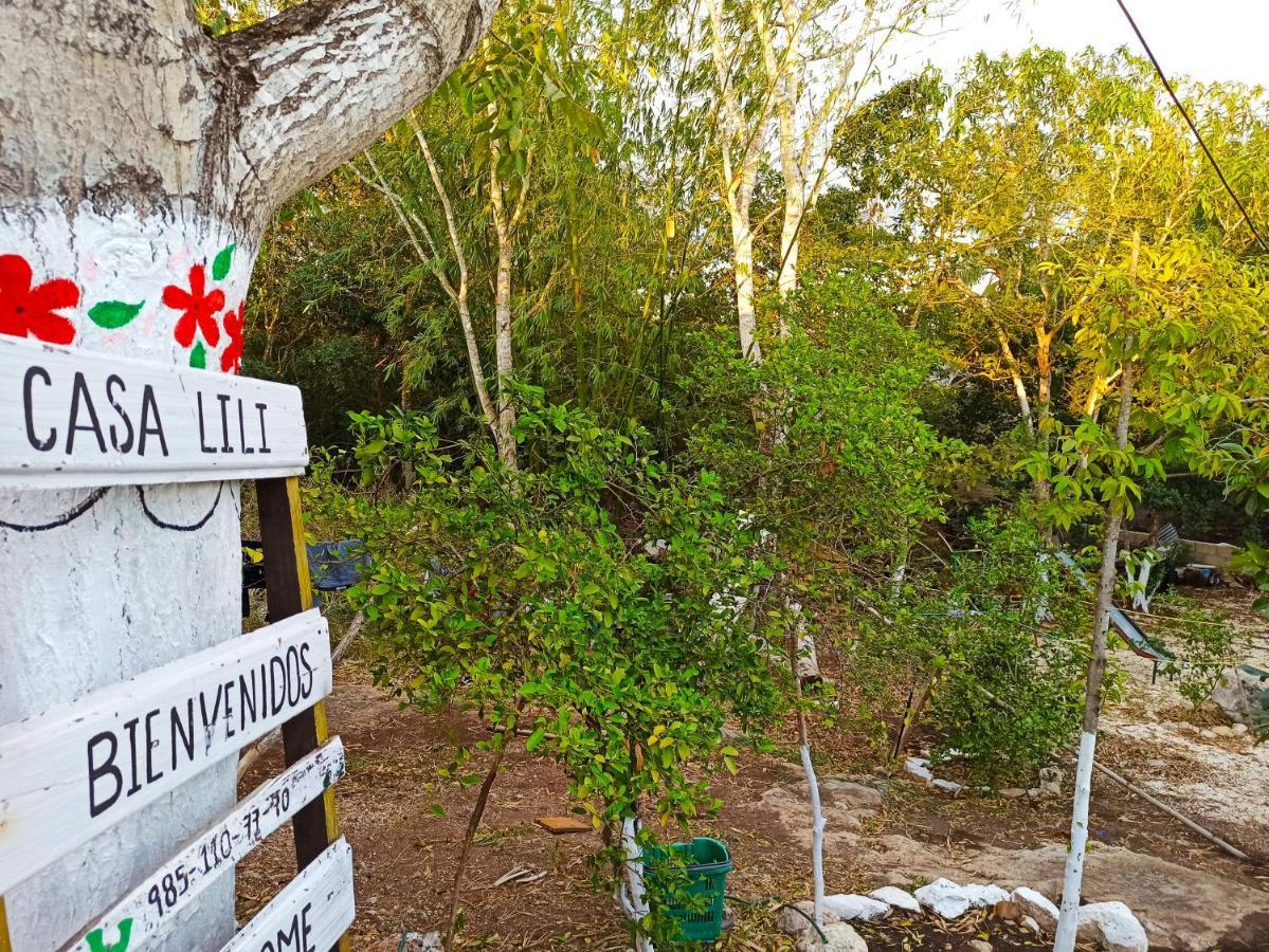 Casa Lili Luxury Valladolid "Fast Wifi, Hot Water, Kitchen & Tv" 外观 照片